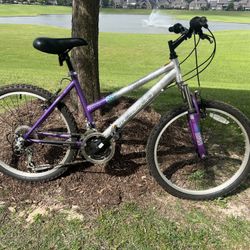 Mountain bike 24”