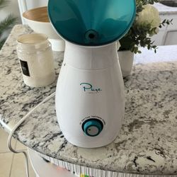 Face Steamer 