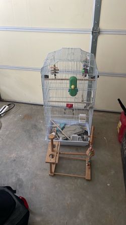 Birds cage and play set