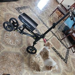 KNEE WALKER   $ 60 OBO