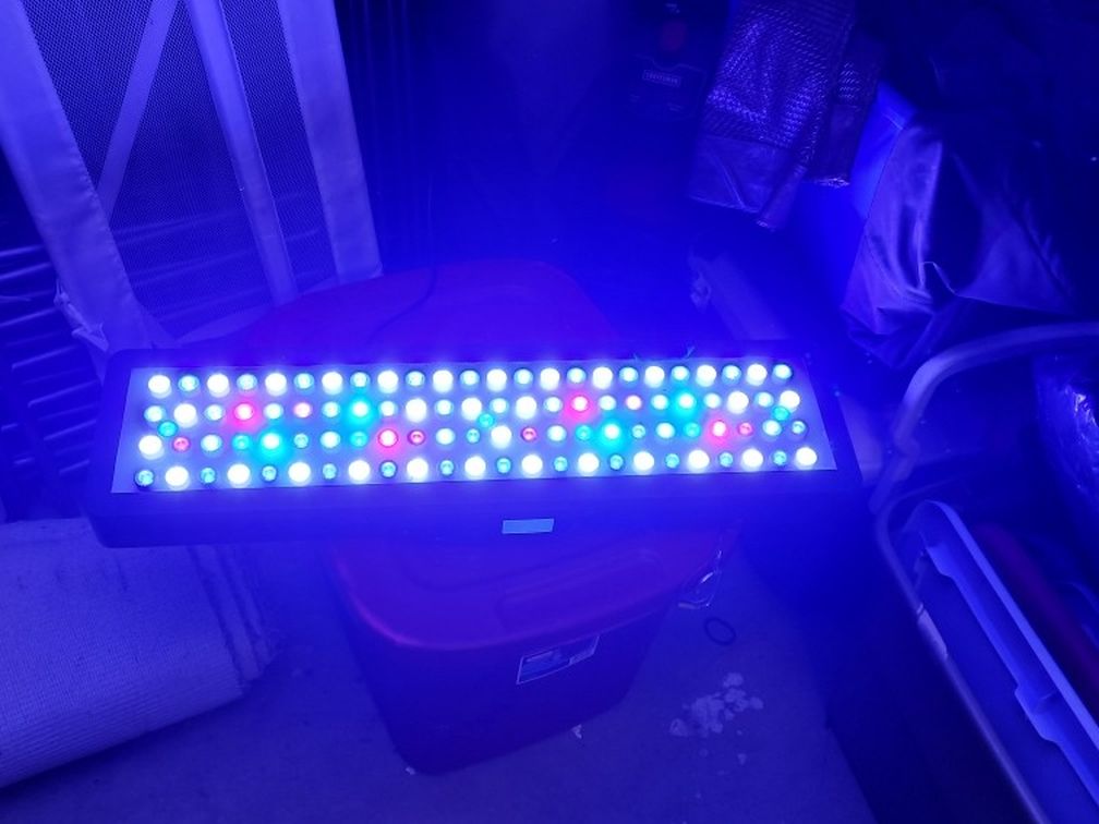 Evergrow IT2080 Reef LED