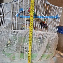 bird cage 15x11