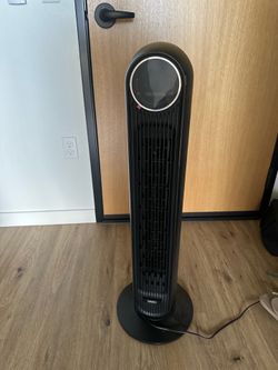 Fan