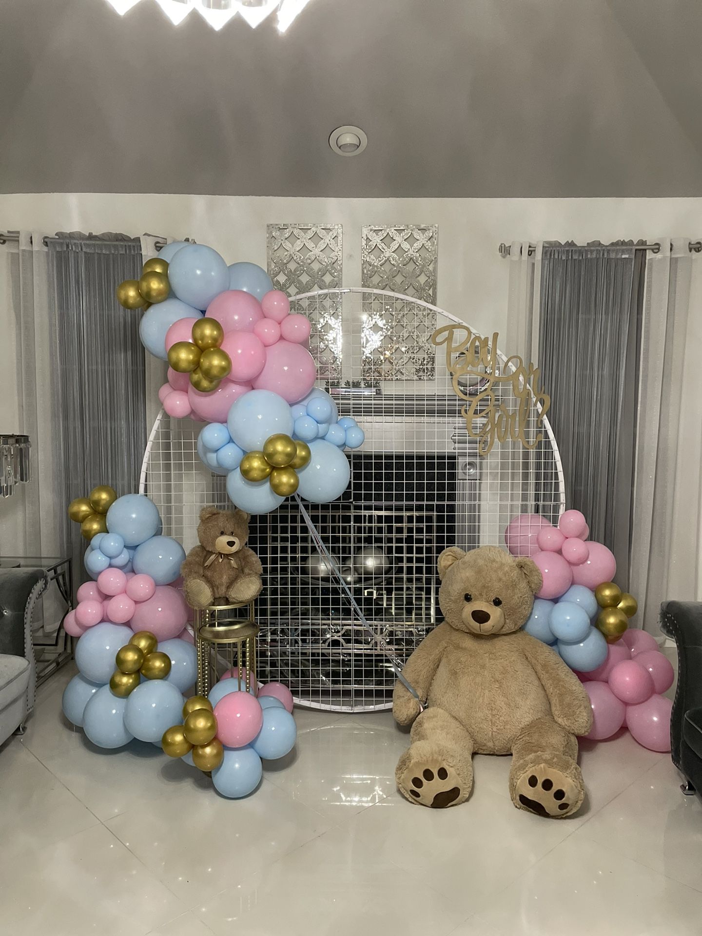 Gender Reveal