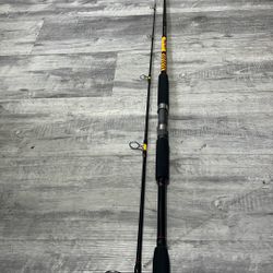 Ugly Stik Surf Rod