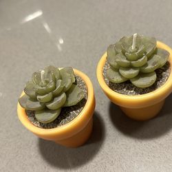 Cutest Succulent Candles 🕯️ 🪷 - Both For $5