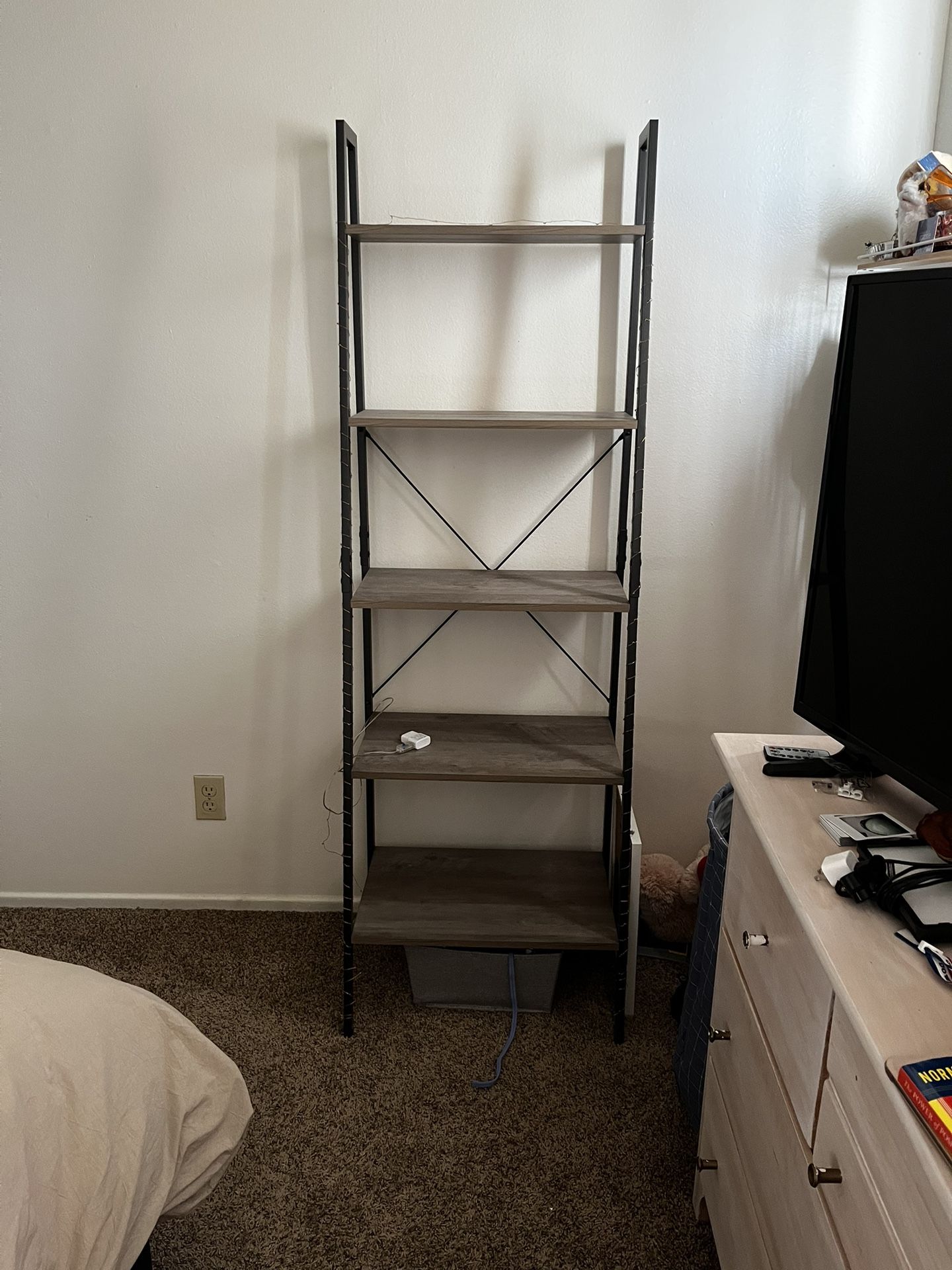 Ladder Book Shelf