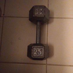 25LB Dumbbell Weight