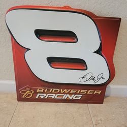 Dale Jr Budweiser Display 