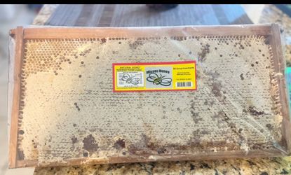 Honeycomb original Misses Honey🐝