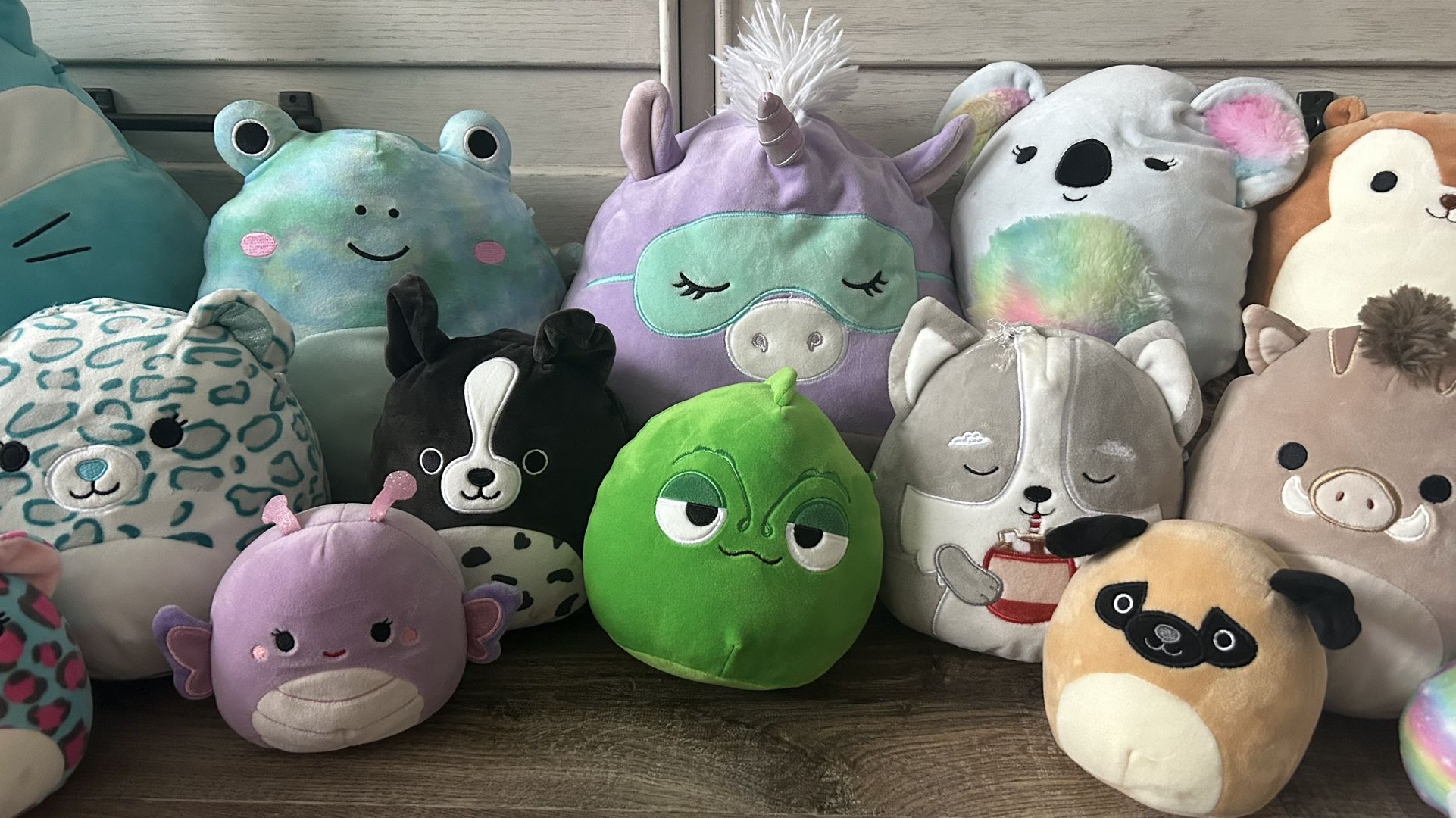 Squishmallows LOT OF 20! display picture 1