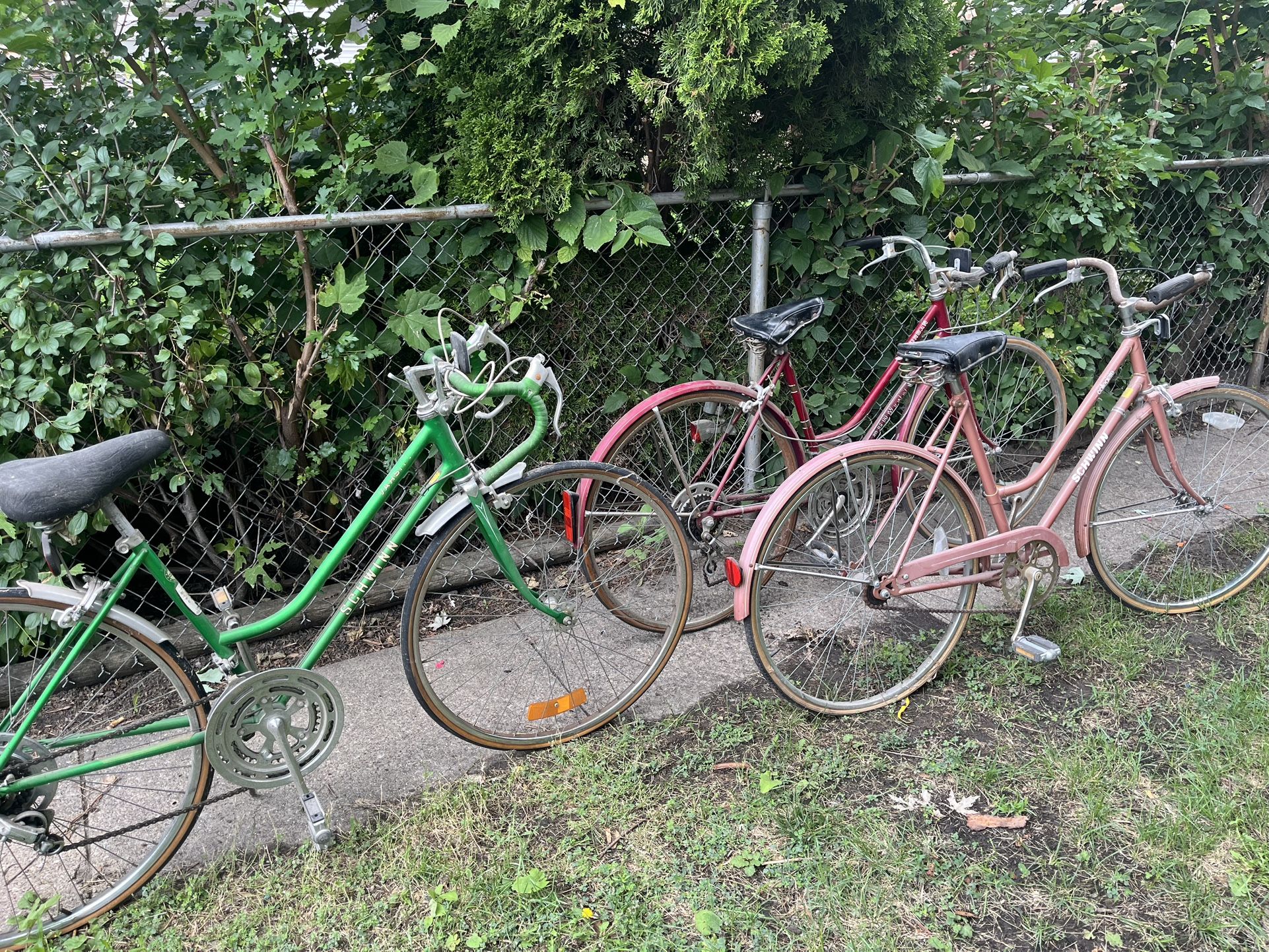 Schwinn Bundle Deal Woman’s Bikes