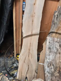 Live Edge Slabs