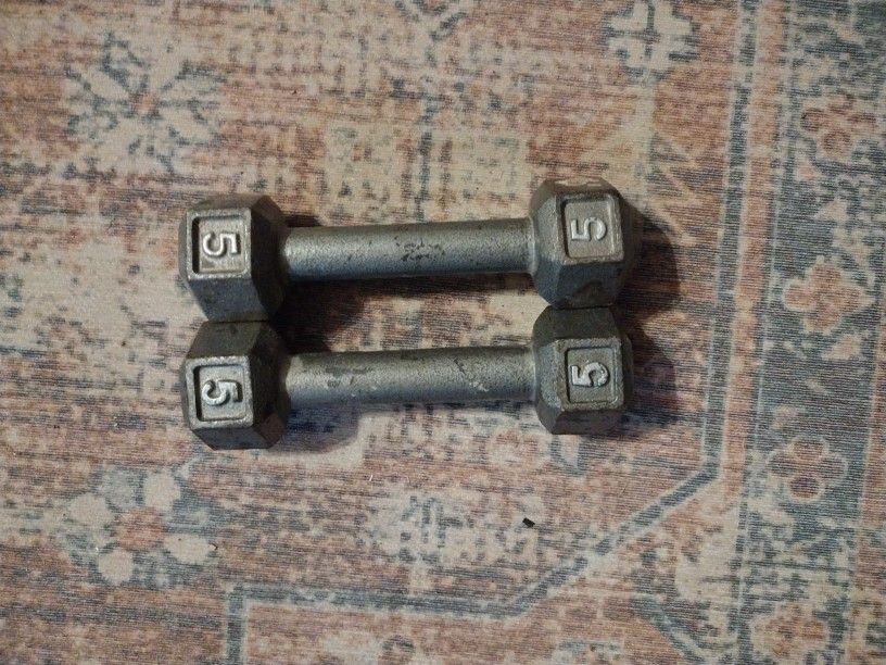 5 Pound Iron Weights