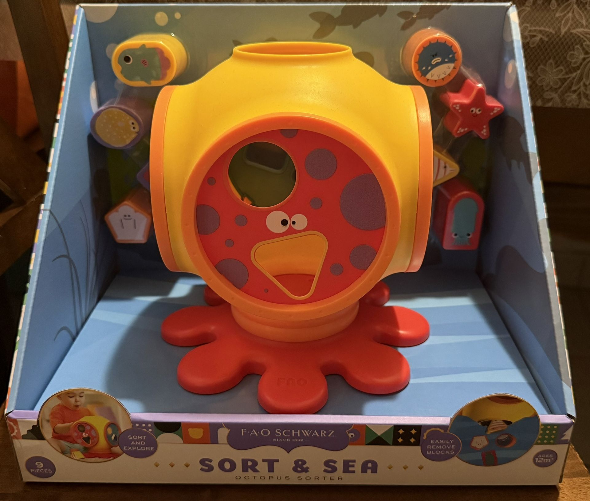 Shape Sorter Toy