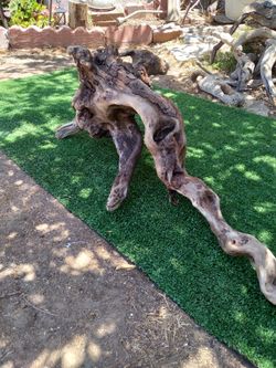 Driftwood For Aquariums Terrariums Decor