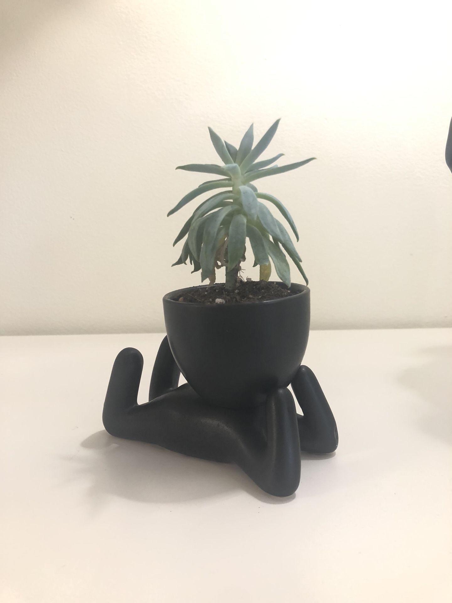 Pot Head Ceramic Succulent Planter