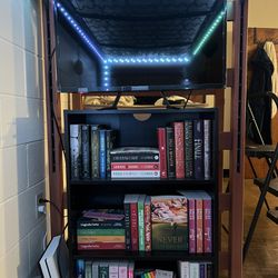 TV and Bookshelf 