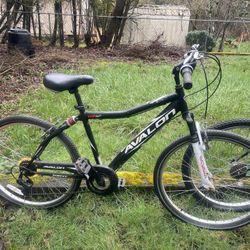 Trek 24in Motorized Brand New Motor & Kent Mountain Bike 26 In 