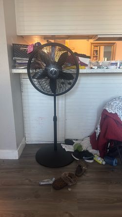 Black adjustable height lasko fan 15$, +white box fan 5$