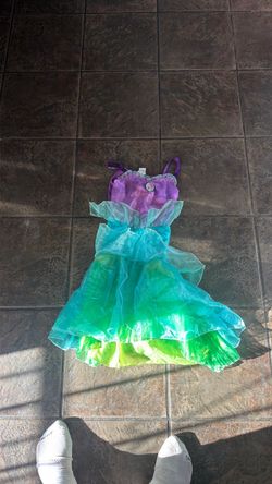 Princess Girls Costume Dresses