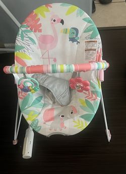 Baby Bouncer