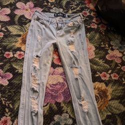 Hollister Jeans