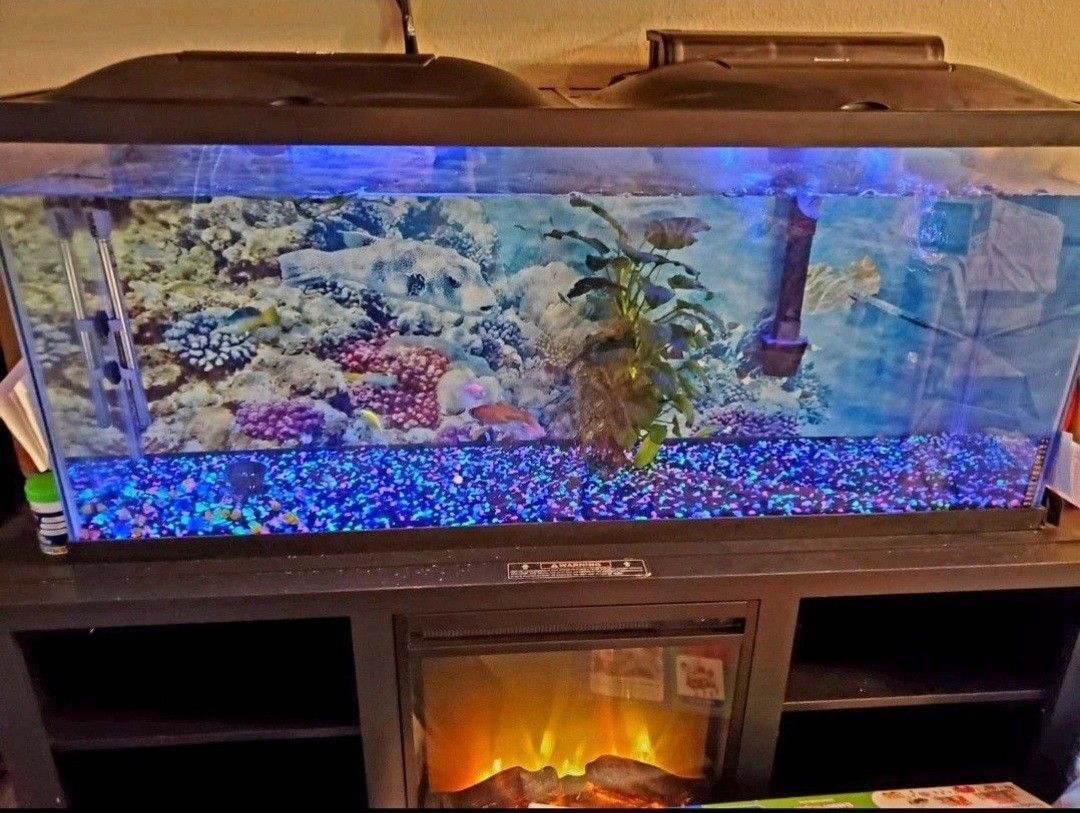55 Gallon Aquarium + Stand with Heater