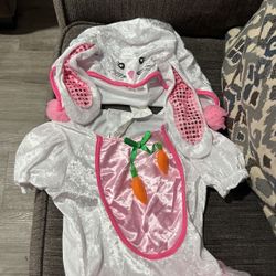Bunny Dress Costume 