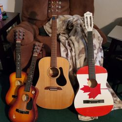 Acoustic Guitars 
