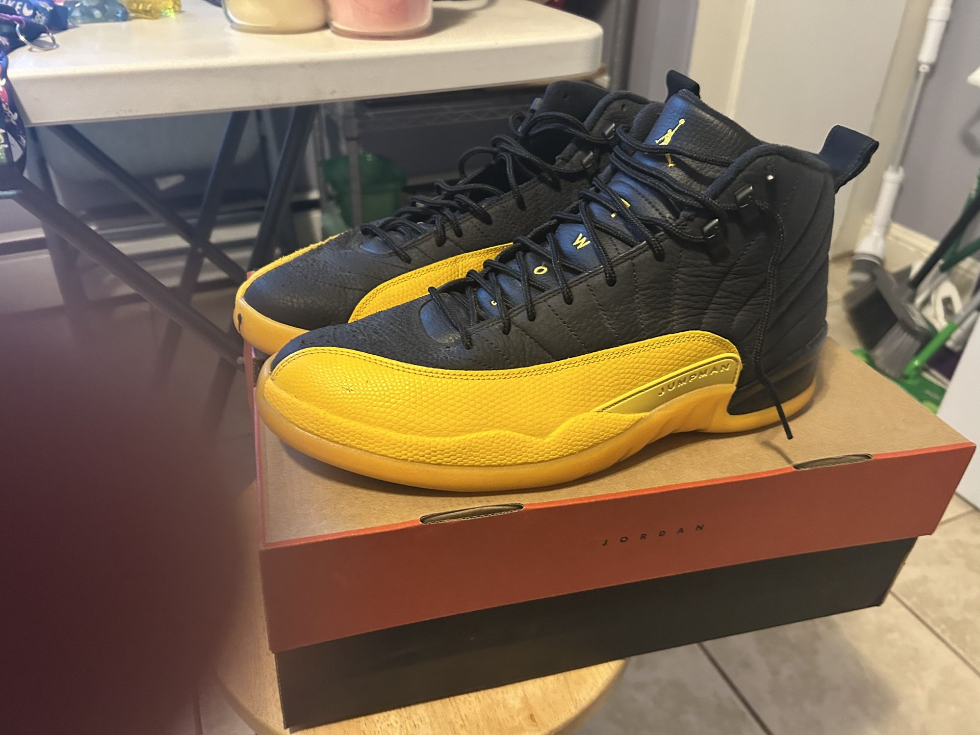 Air Jordan’s 12s