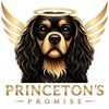 Princeton’s Promise
