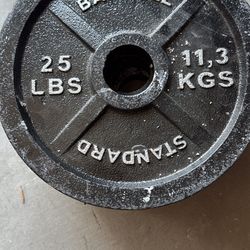 25lb Iron Plates
