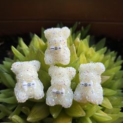 Rhinestone crystal bear charm