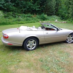 Jaguar XK8