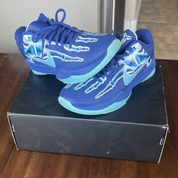 Kobe 5 Xray