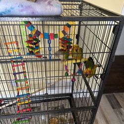 Bird Cages/Conure