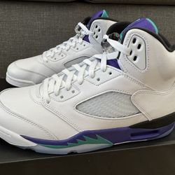 Air Jordan 5 Retro "Grape" (2025) *IN HAND!* Size 12