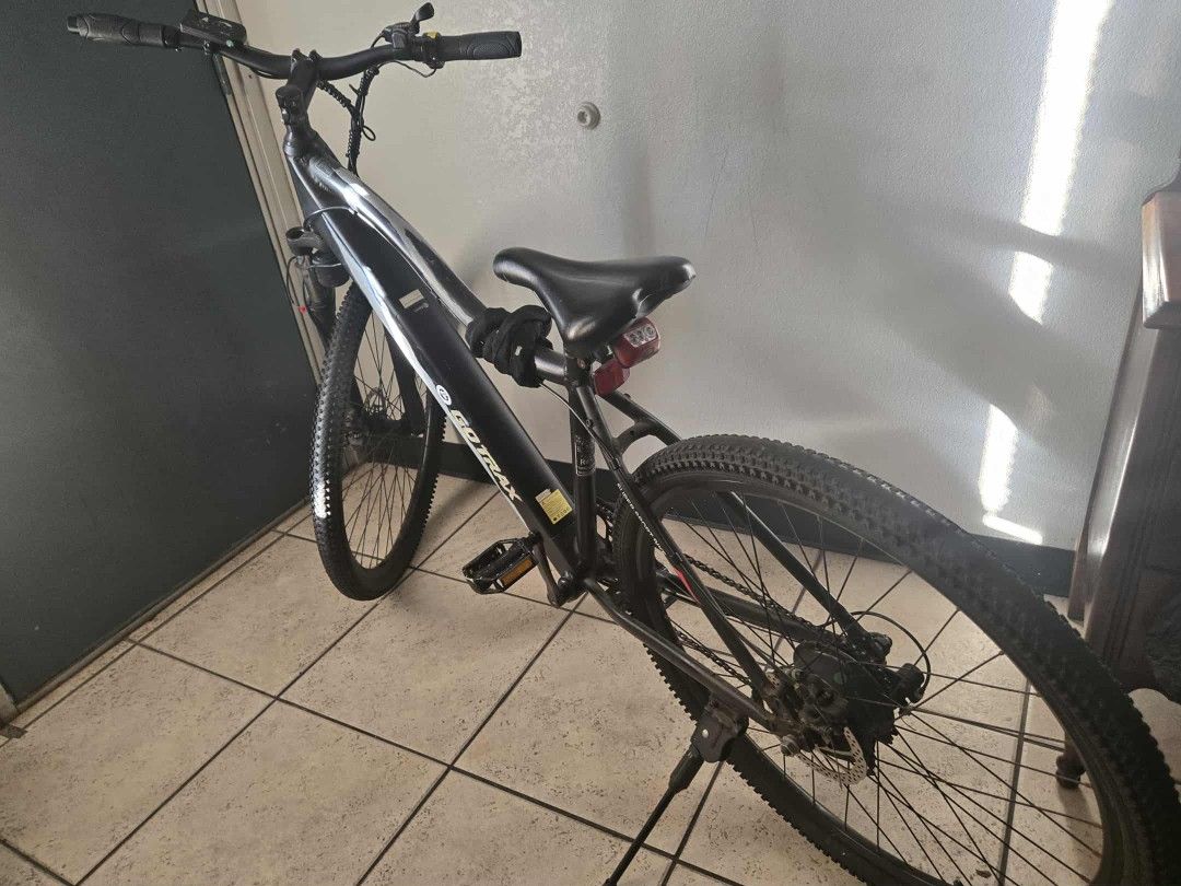 GoTrak Ebike