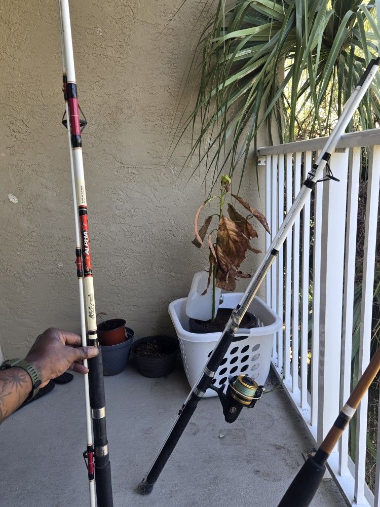 $35 35 35 !!2 Surf Fishing Poles And One Penn Reel!!