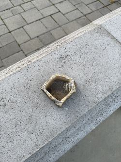 Reptile Food / Water Dish 2.5 X 2.5