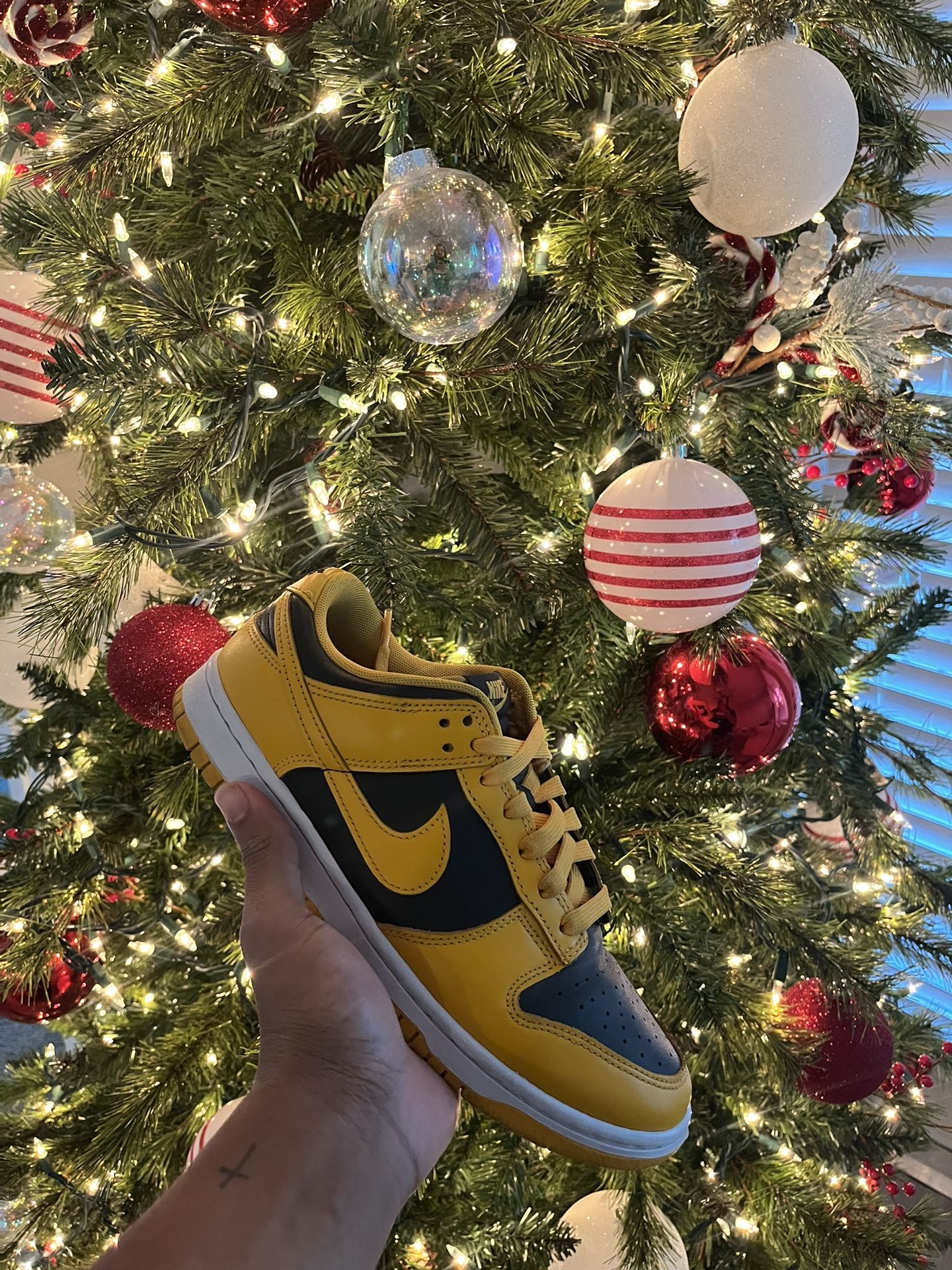Nike Golden Rod Dunk