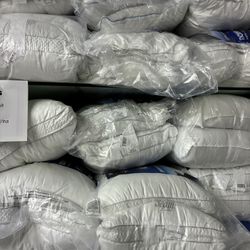 Sealy Pillows New Arrivals
