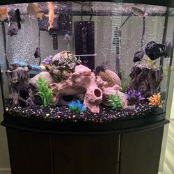36 Gallon Bow Front Aquarium And Stand 