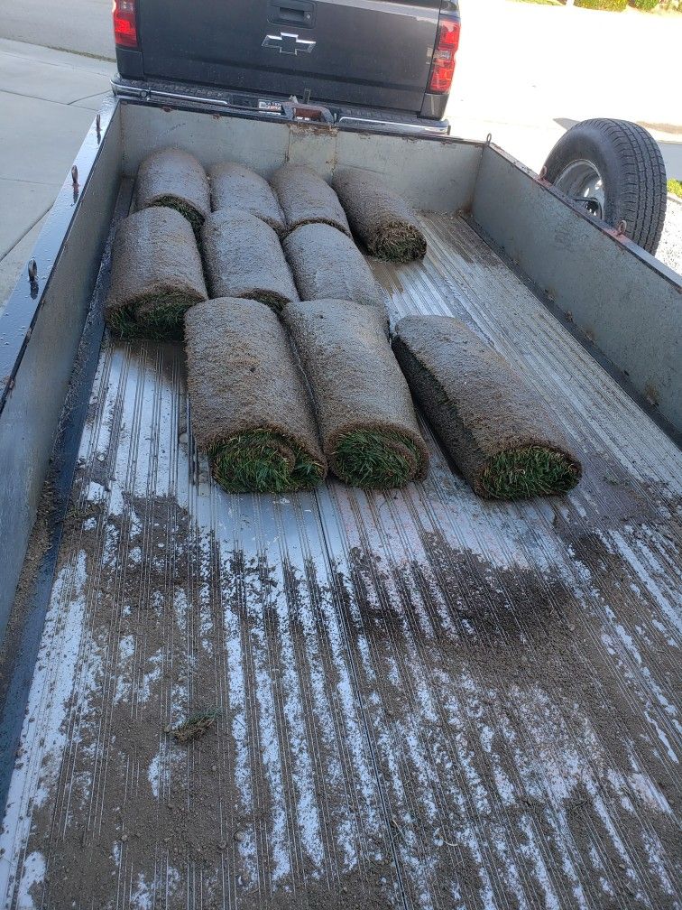 Leftover Sod 10 Rolls