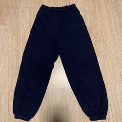 Aritzia Tna Blue Sweats 