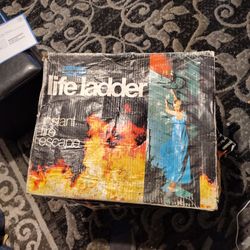 Life Ladder..