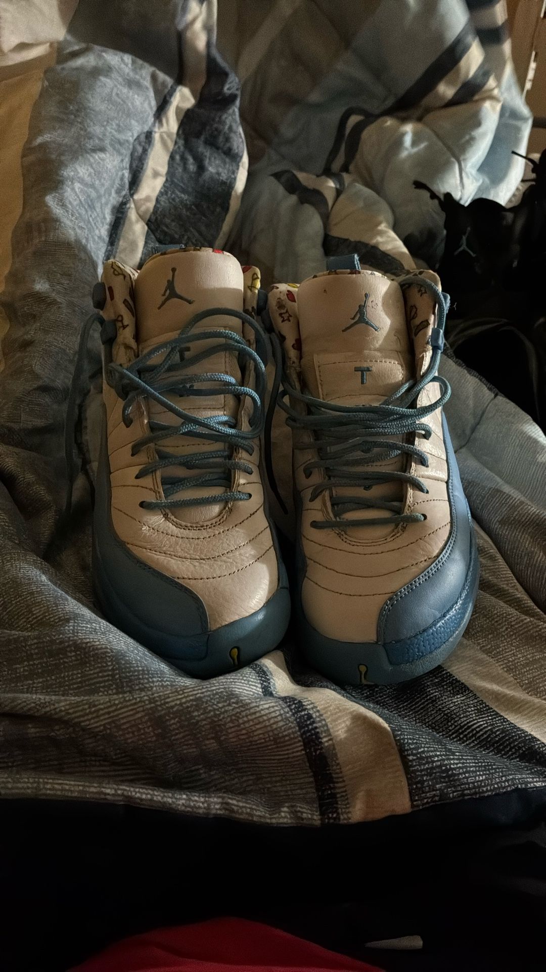 Jordan 12 Emoji