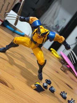 Yamaguchi Wolverine