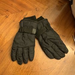 Snow Gloves Adult Size Large 